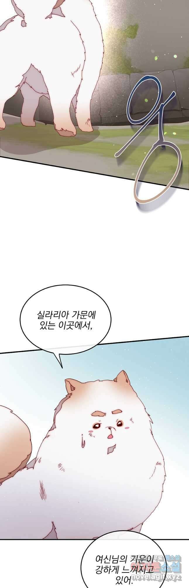 비비안을 잊어주세요 50화 36