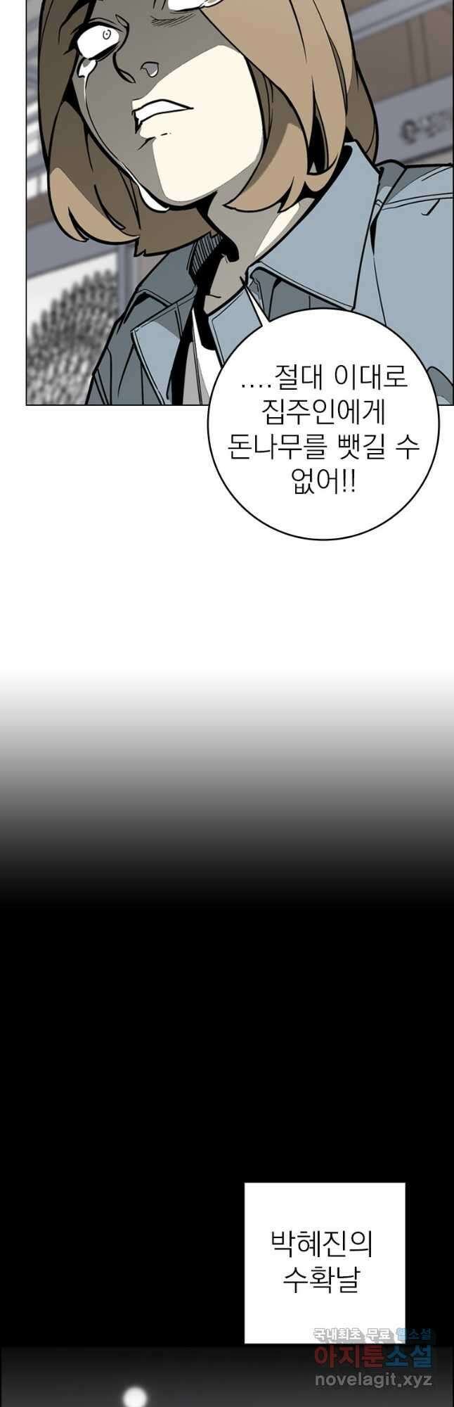 돈나무 39화 2