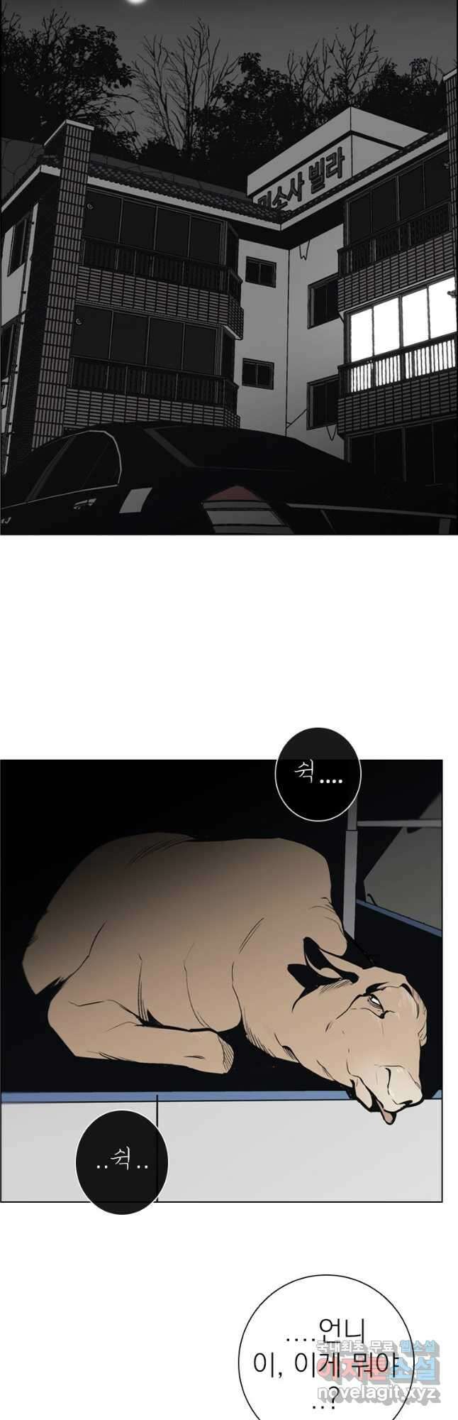 돈나무 39화 3