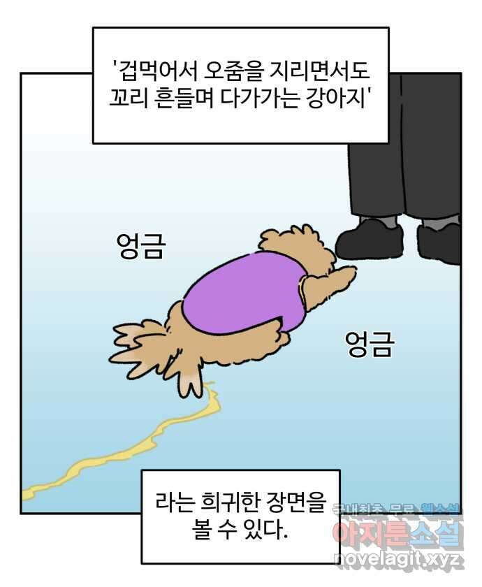 강아지는 멍멍하고 짖지 않아! 48화 - 겁쟁이 강아지 15