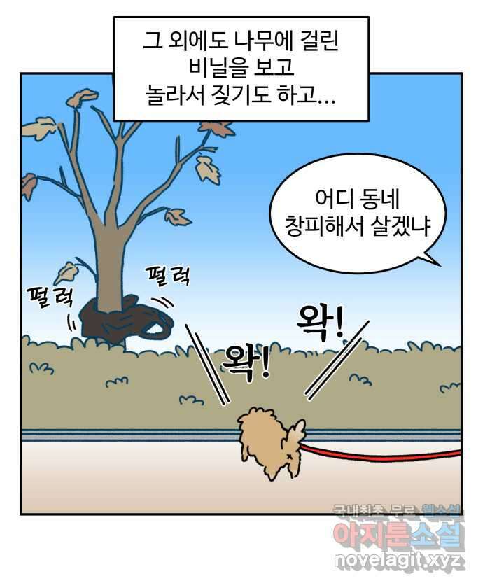 강아지는 멍멍하고 짖지 않아! 48화 - 겁쟁이 강아지 16