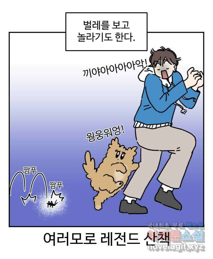 강아지는 멍멍하고 짖지 않아! 48화 - 겁쟁이 강아지 17