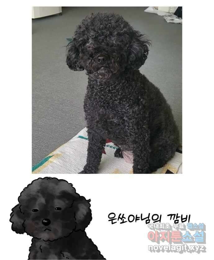 강아지는 멍멍하고 짖지 않아! 48화 - 겁쟁이 강아지 24