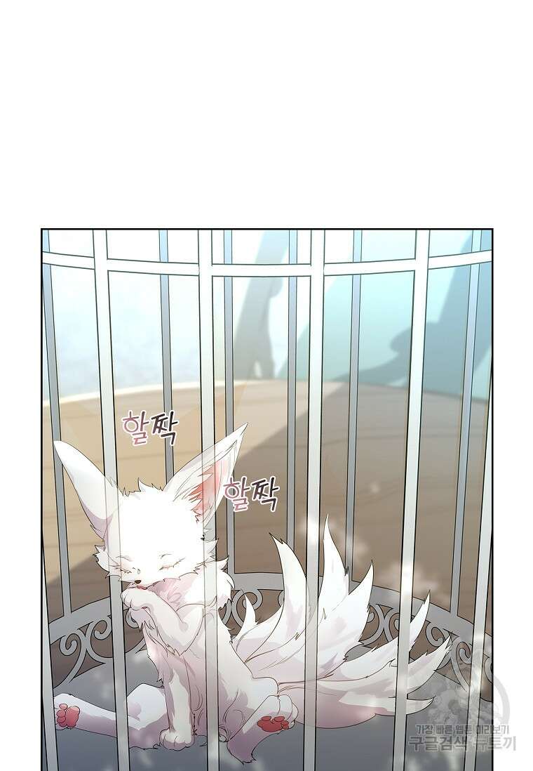 구미호를 잘못 키웠다 6화 5