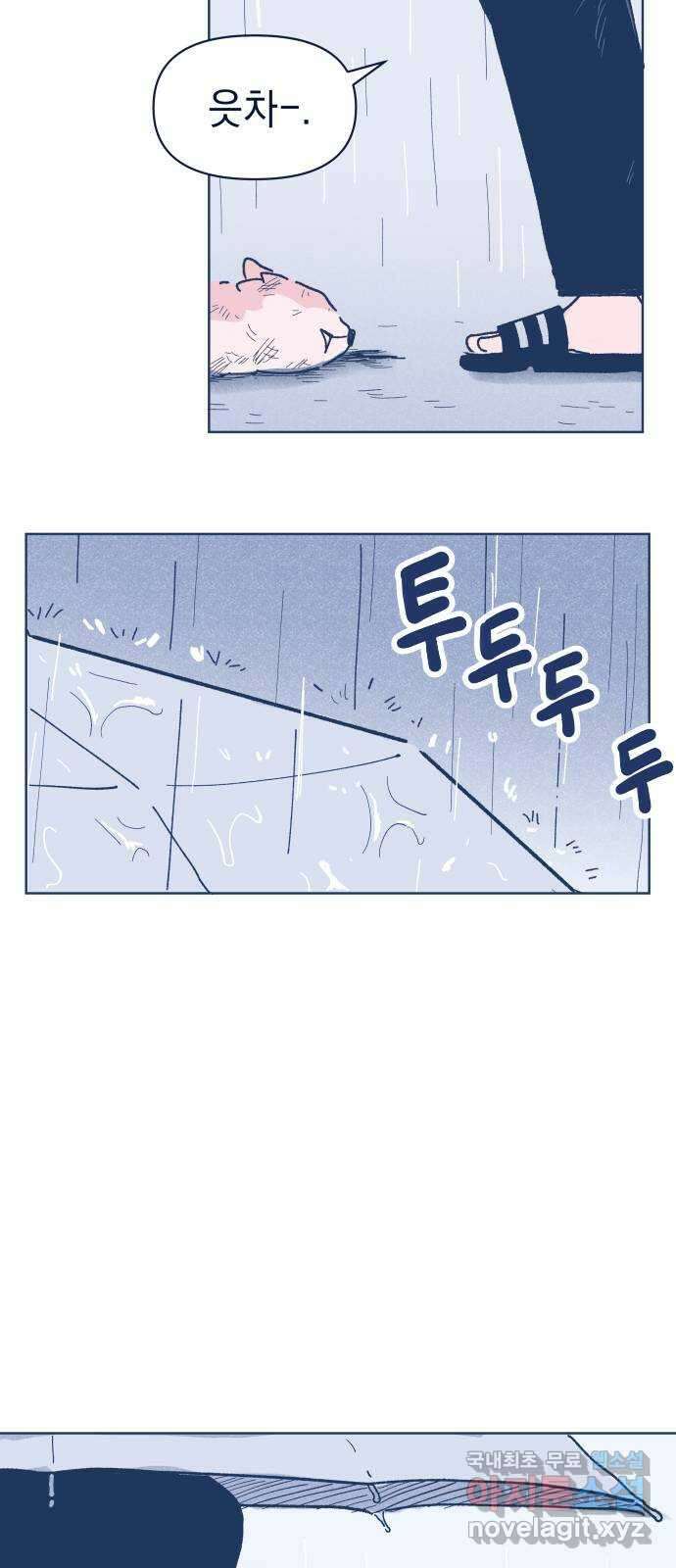 반려짐승 1화 5