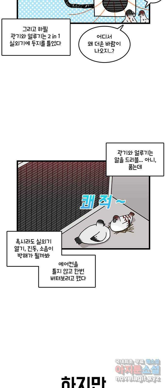 윌유메리미 시즌2 732화 비둘기와 열대야를 견디자 2