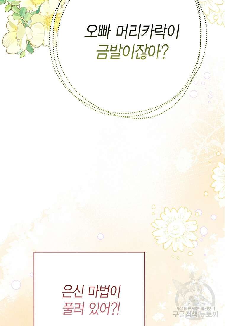 그 남자는 제 친오빠인데요, 공작님 71화 3