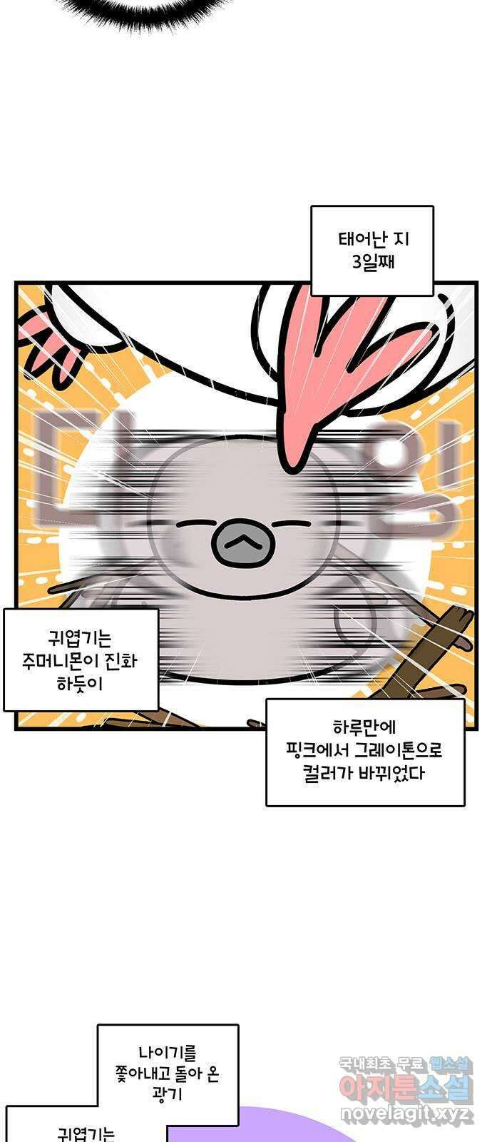 윌유메리미 시즌2 737화 귀엽기는 금쪽이 2