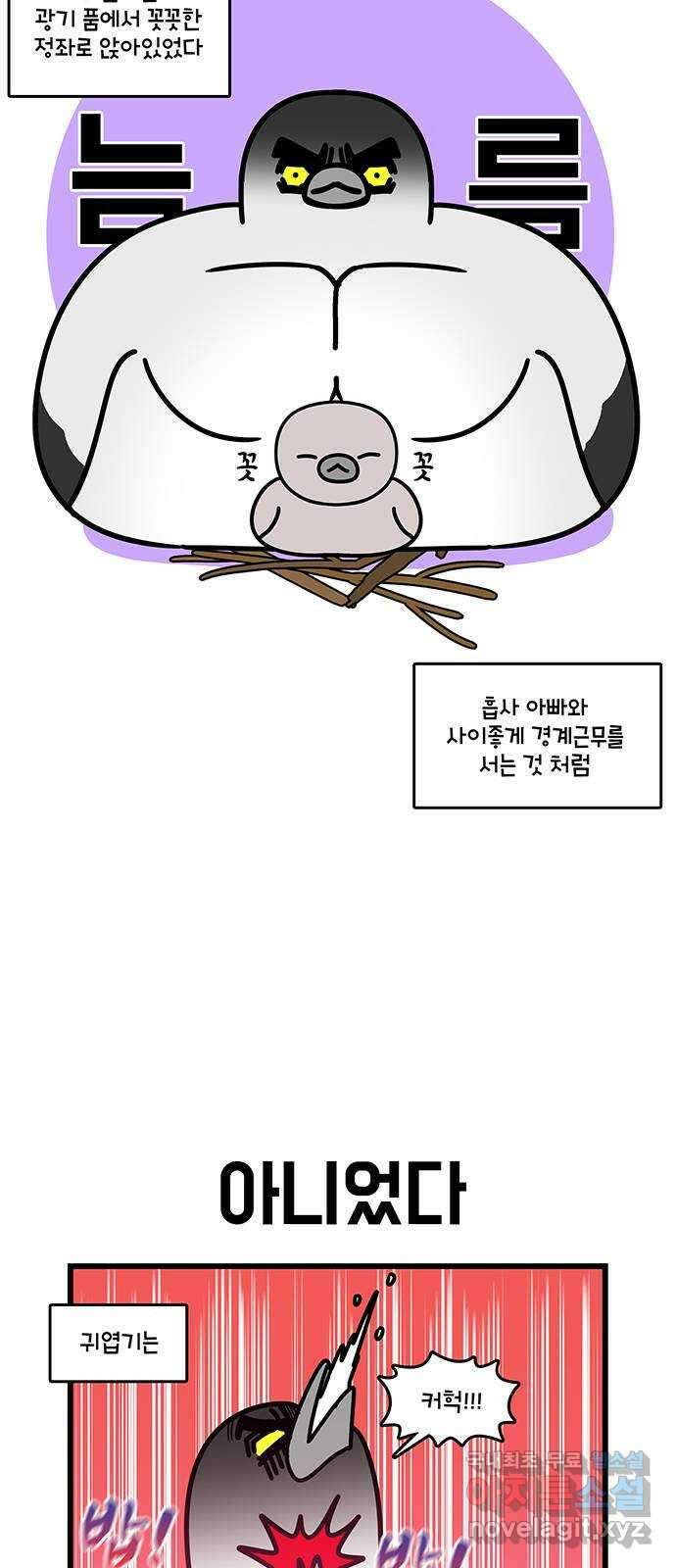 윌유메리미 시즌2 737화 귀엽기는 금쪽이 3