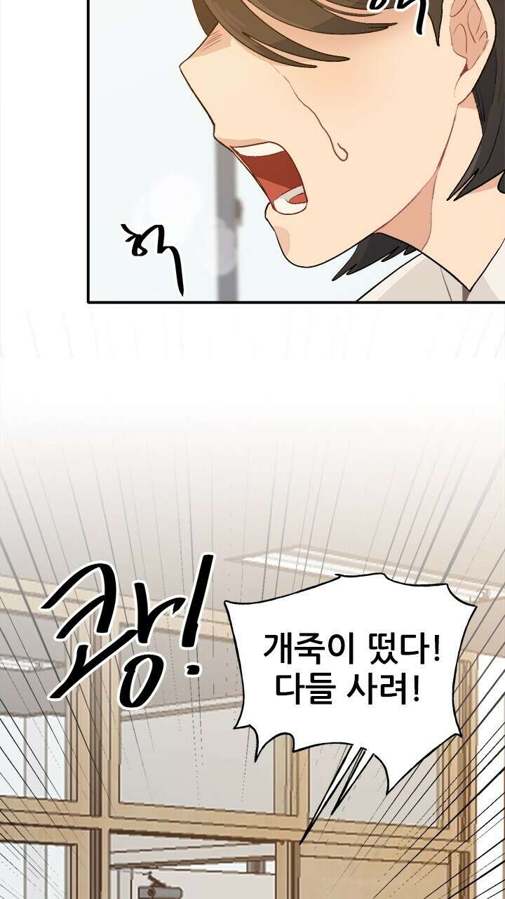 미래상 43화 15