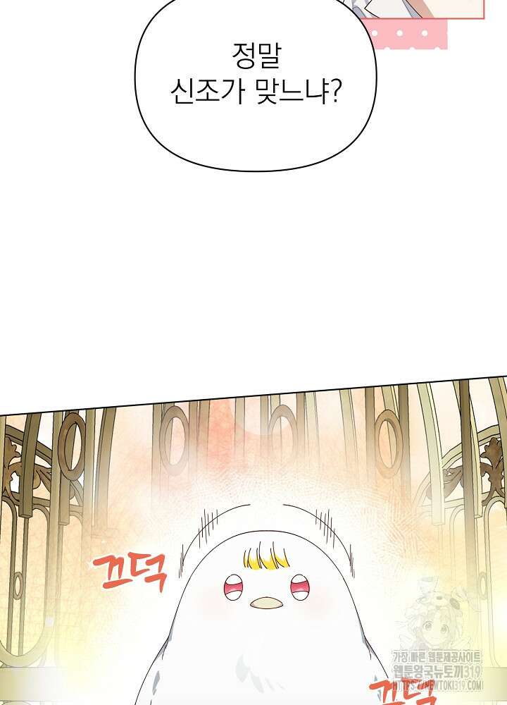 새황후 6화 5
