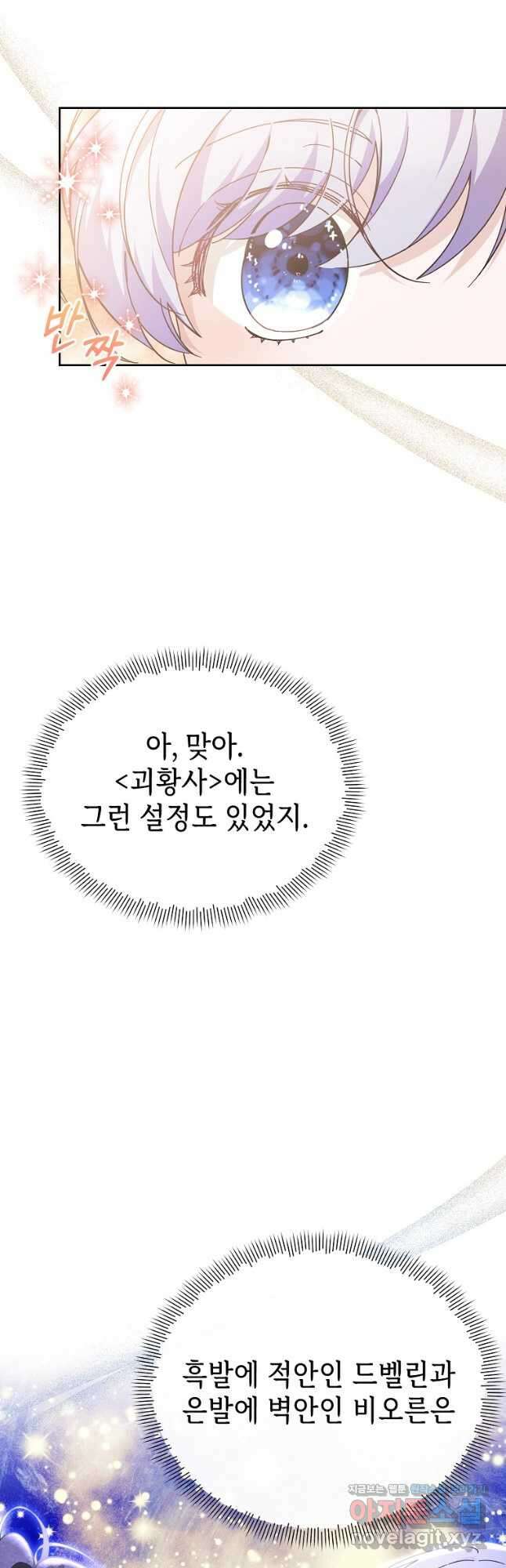 마녀의 딸이 남주의 저주를 풀면 46화 10