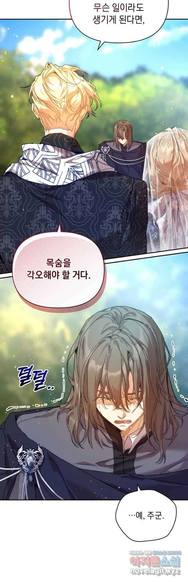 흑막 남주의 시한부 유모입니다 30화 42