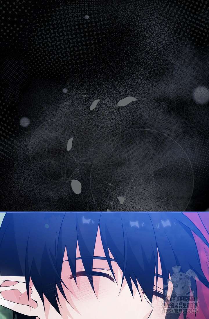 아도니스 248화 9