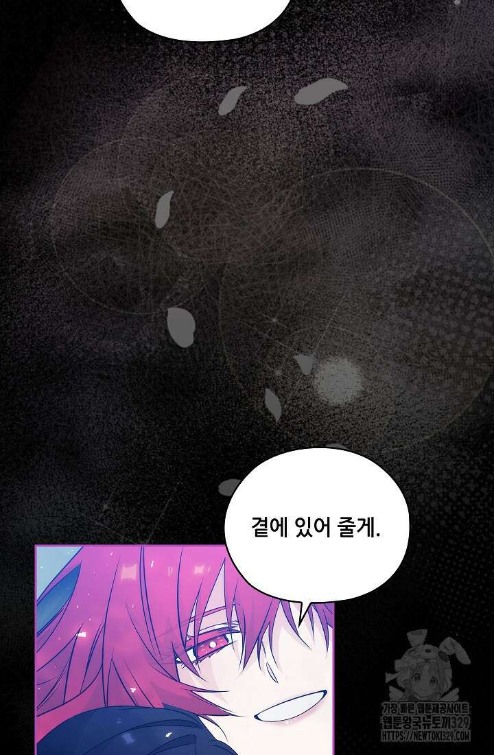 아도니스 248화 12