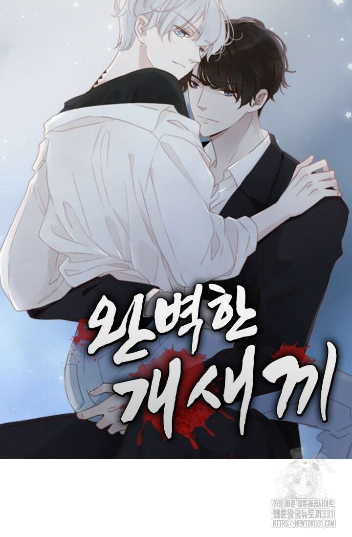 완벽한 개새끼 25화 6