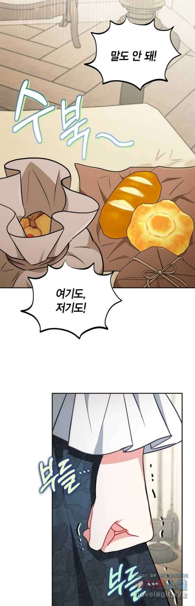 흑막의 독 감별사가 되겠습니다 42화 56