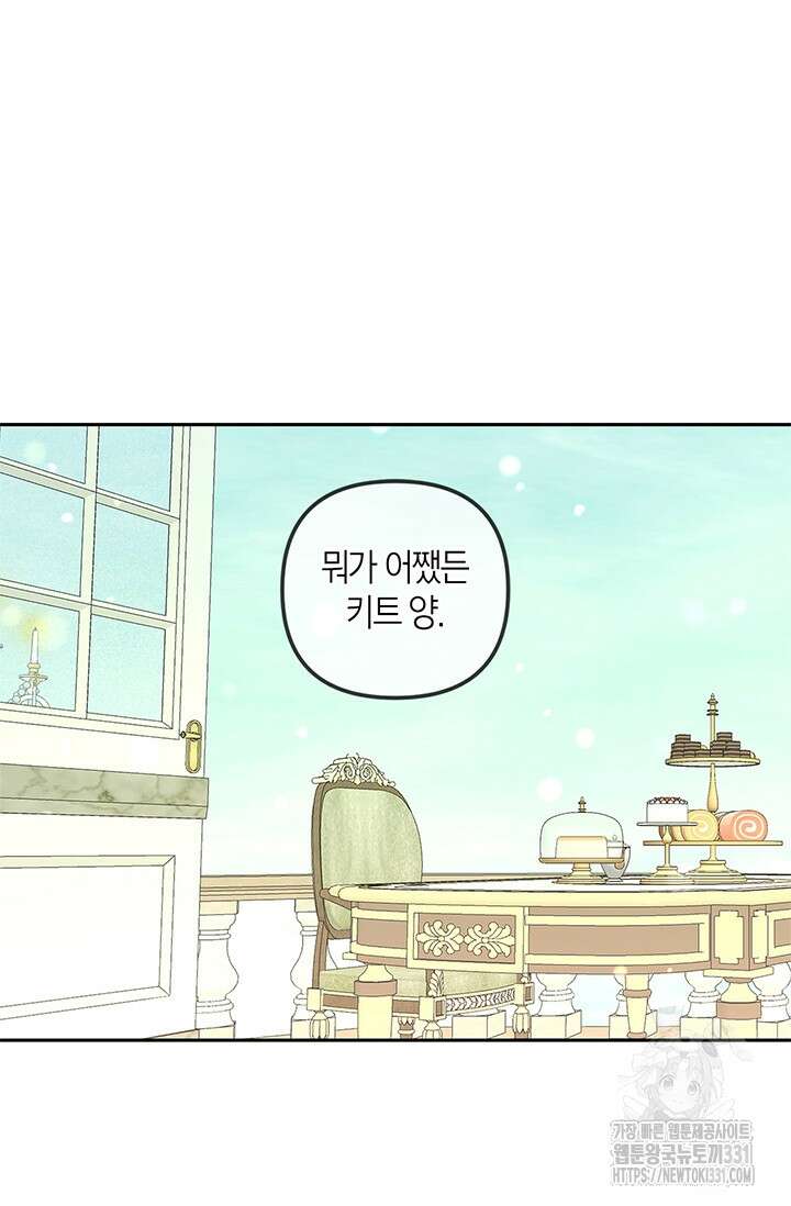번데기 속 고양이 64화 14