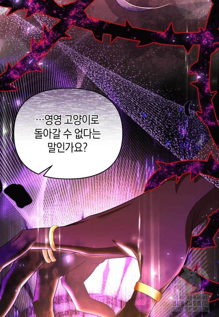 술탄의 귀한 고양이가 되었습니다 48화 11
