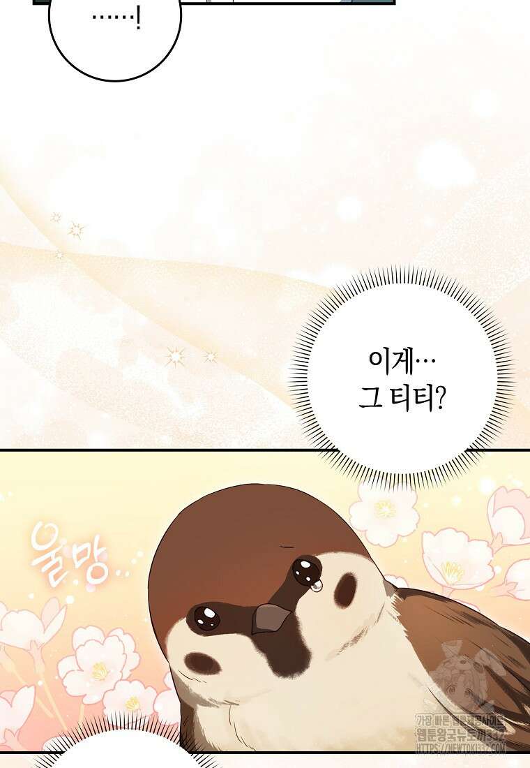 상태창에서 시한부가 빗발친다 6화 68