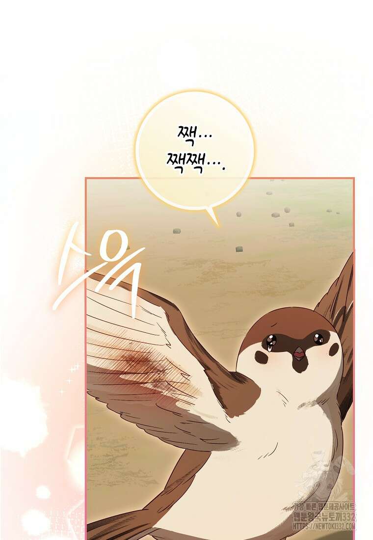 상태창에서 시한부가 빗발친다 6화 99