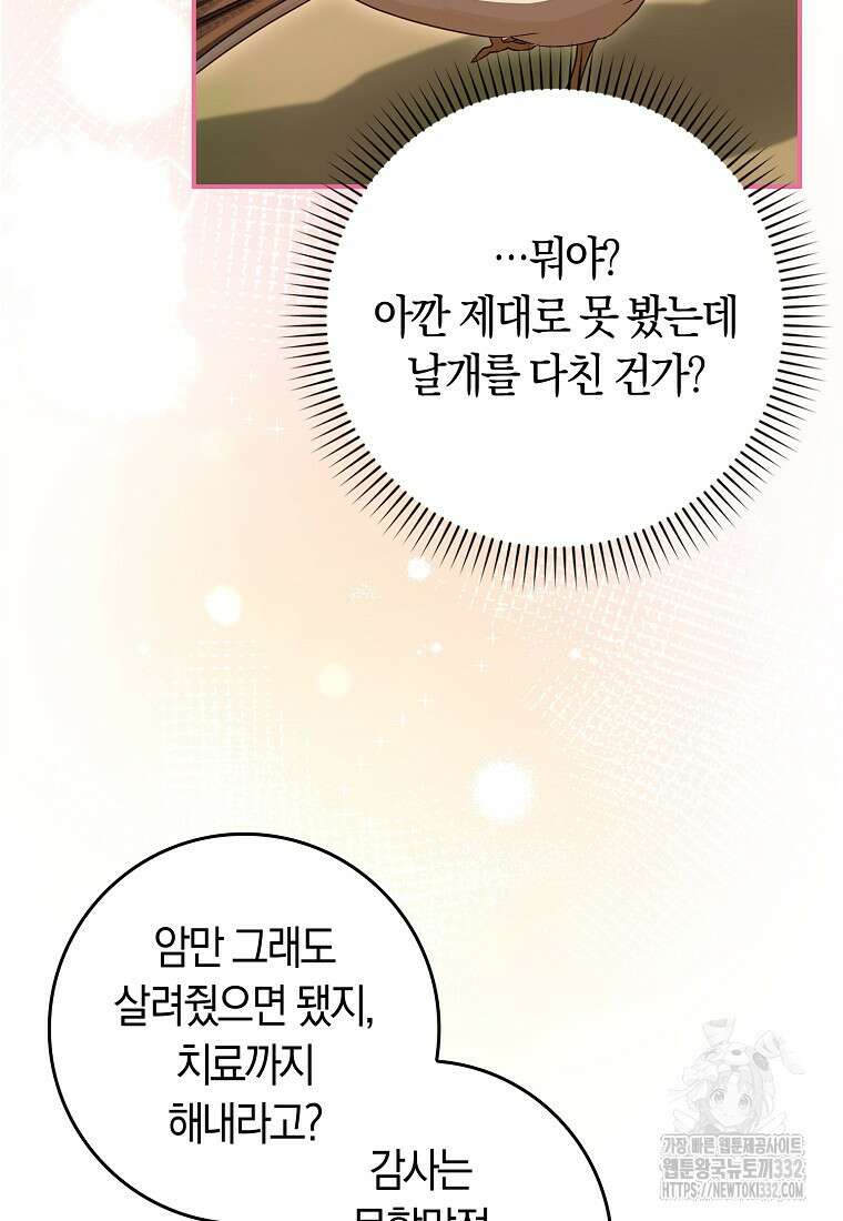 상태창에서 시한부가 빗발친다 6화 100