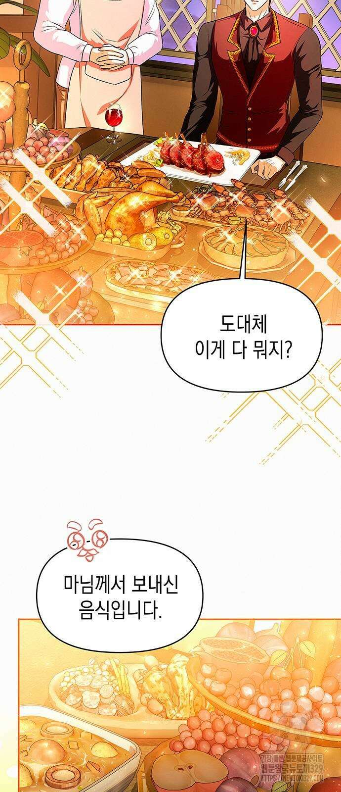 아무래도 결혼을 잘못한 것 같다 29화 17