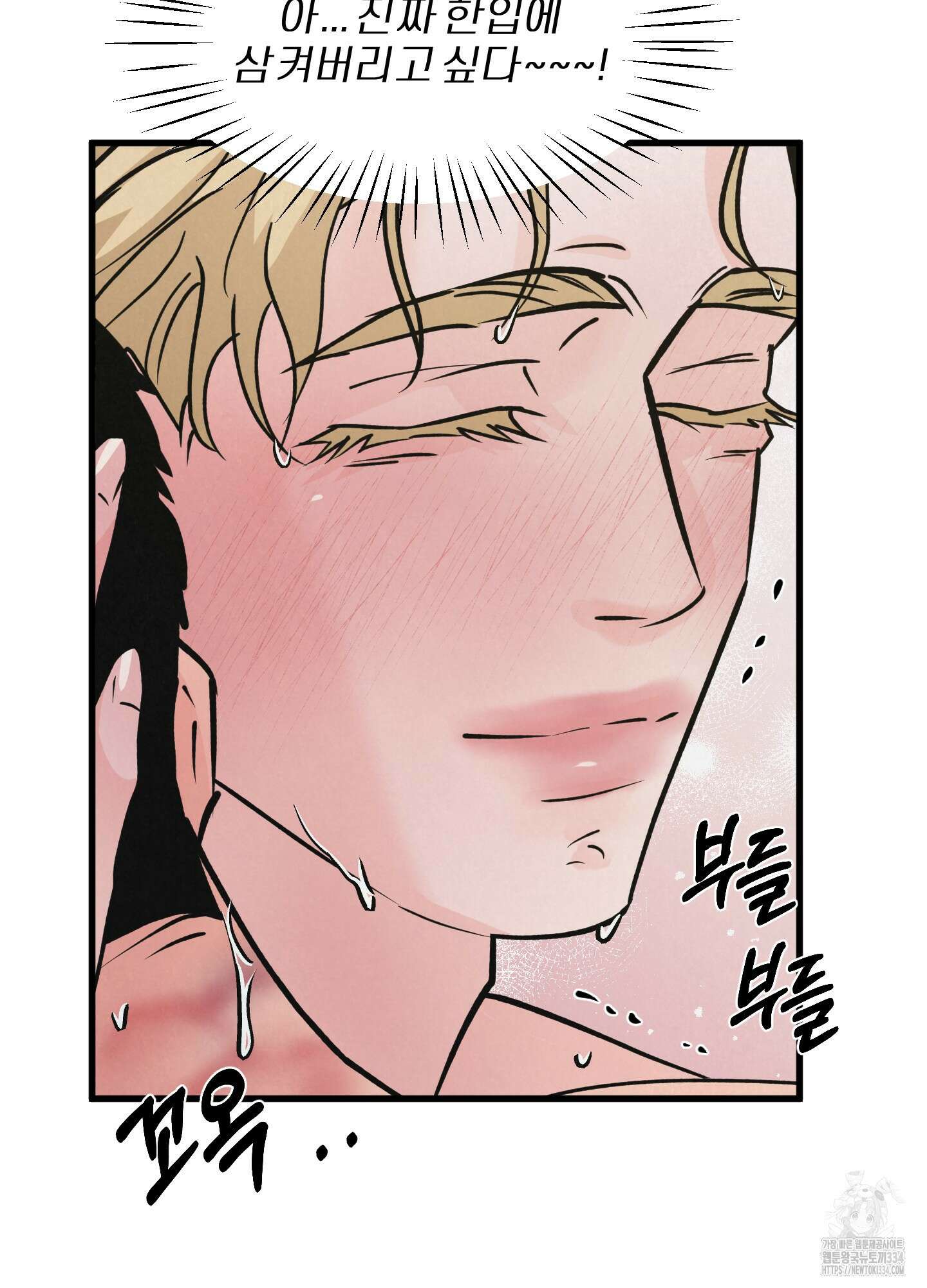 골든 페어(Golden Pair) 40화 15