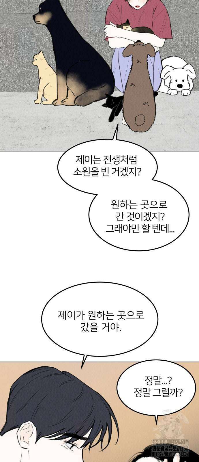 우리 집 고양이 보고 갈래? 70화 완결 12