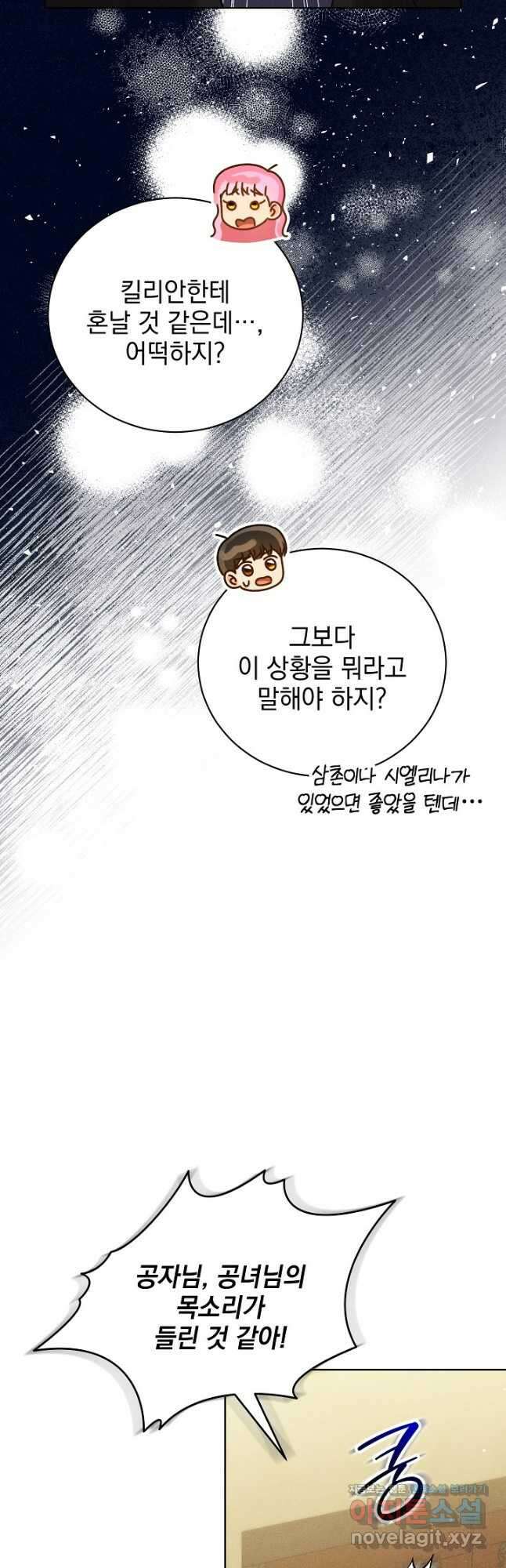 저주받은 공작가의 안주인이 되어 버렸다 38화 9