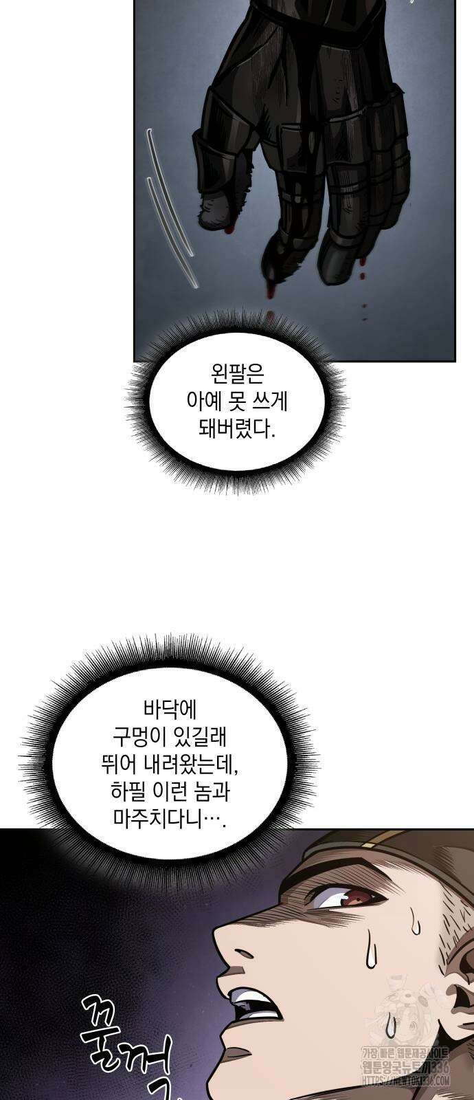 나노마신 204화 41