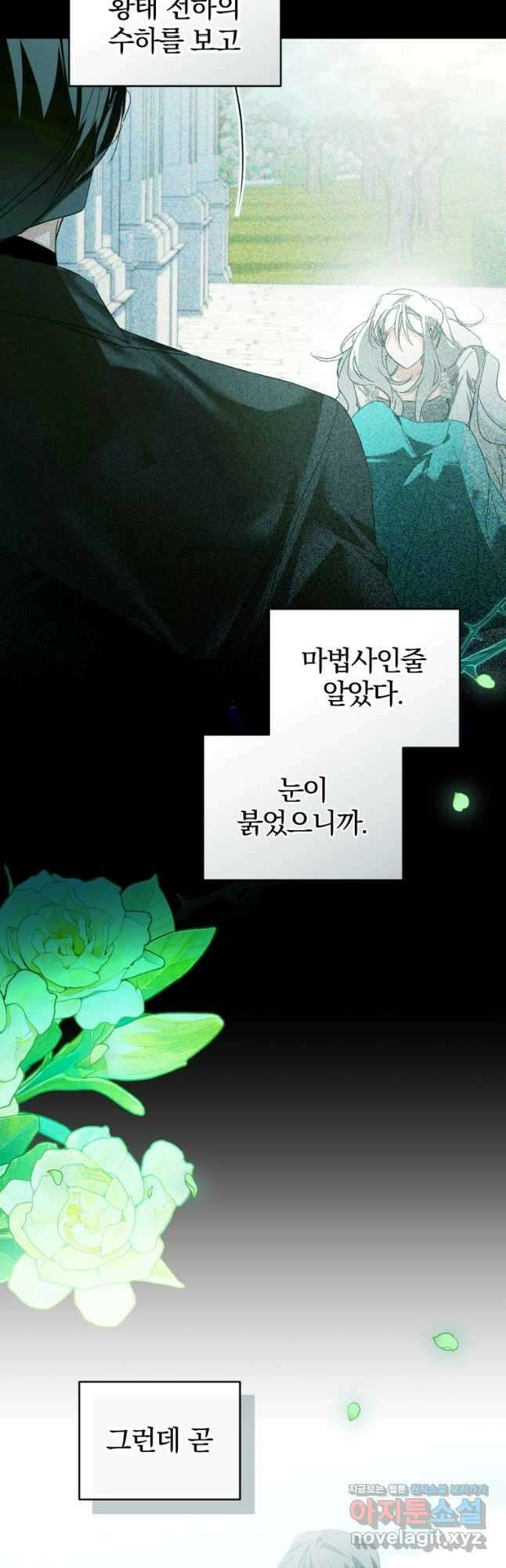 미친 악당의 품으로 떨어졌다 52화 63