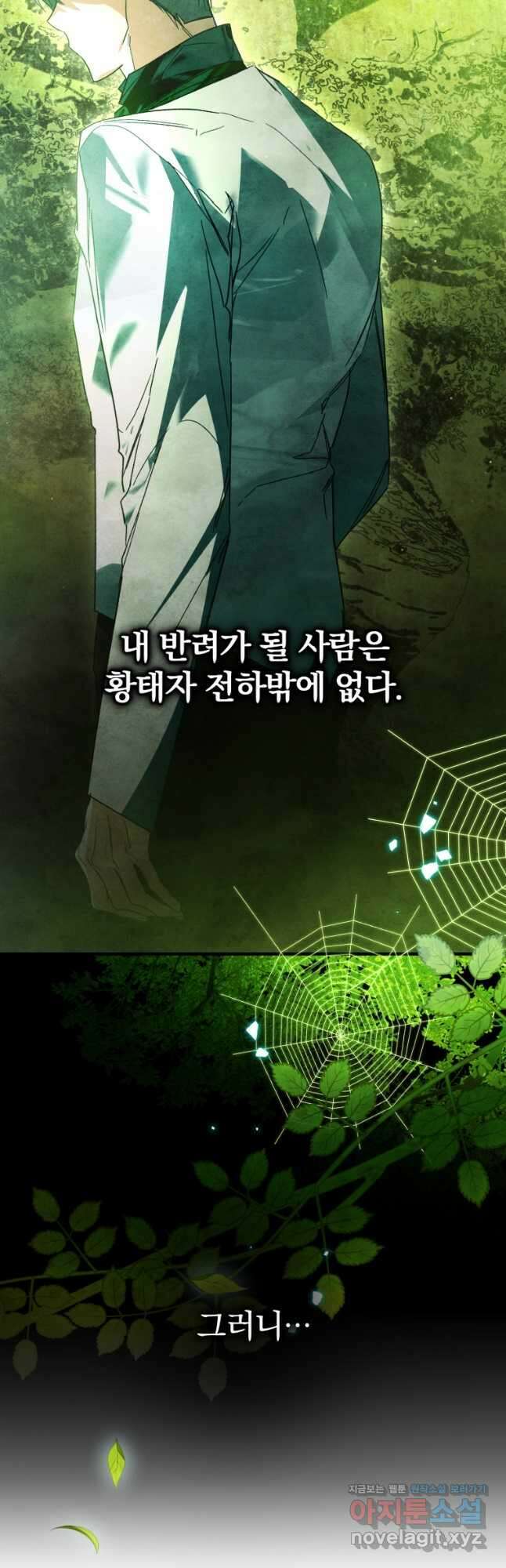 미친 악당의 품으로 떨어졌다 52화 67