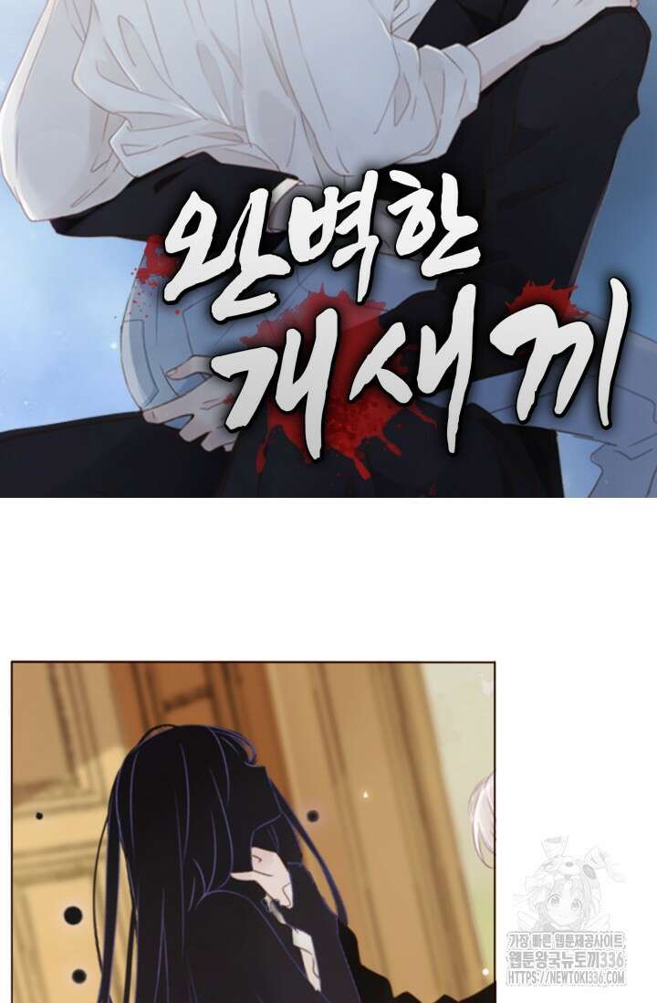 완벽한 개새끼 30화 5