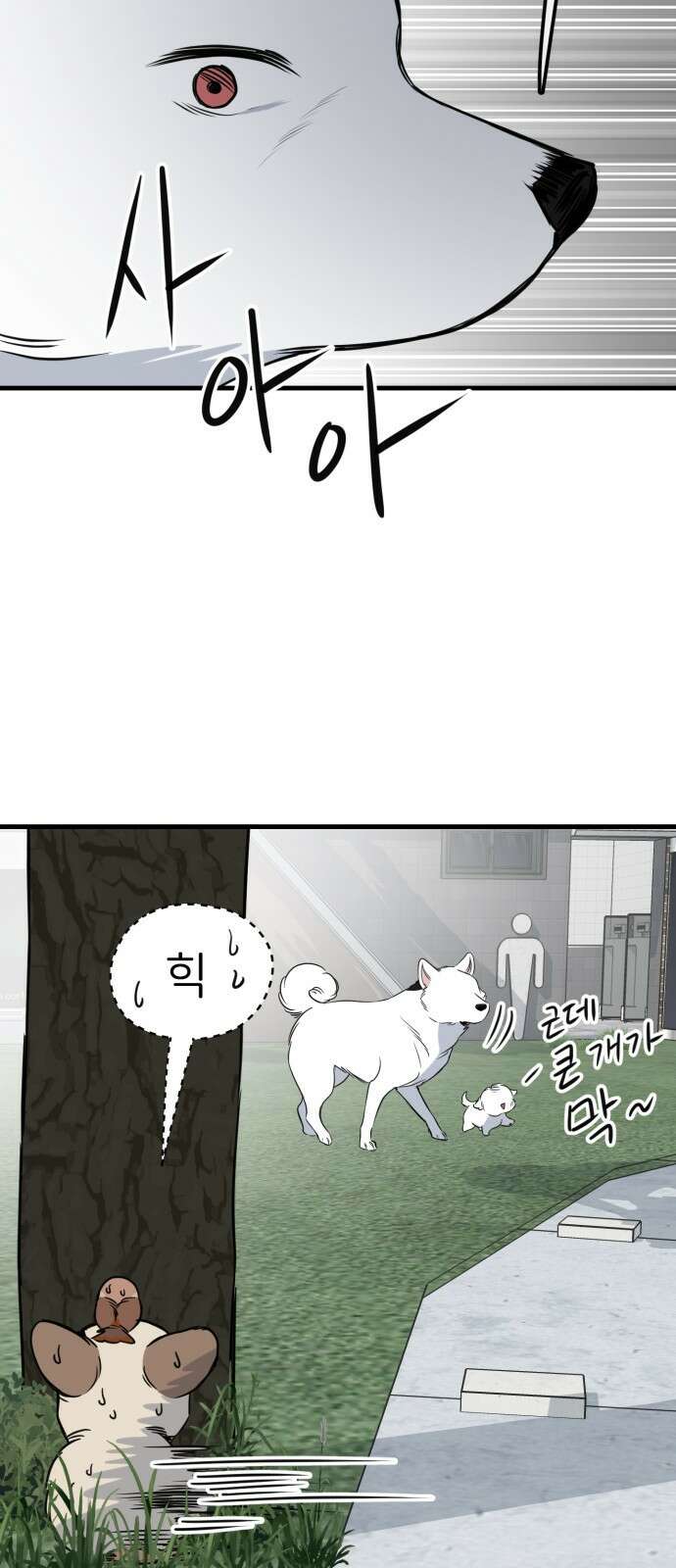 개같이 탈출 34화 45