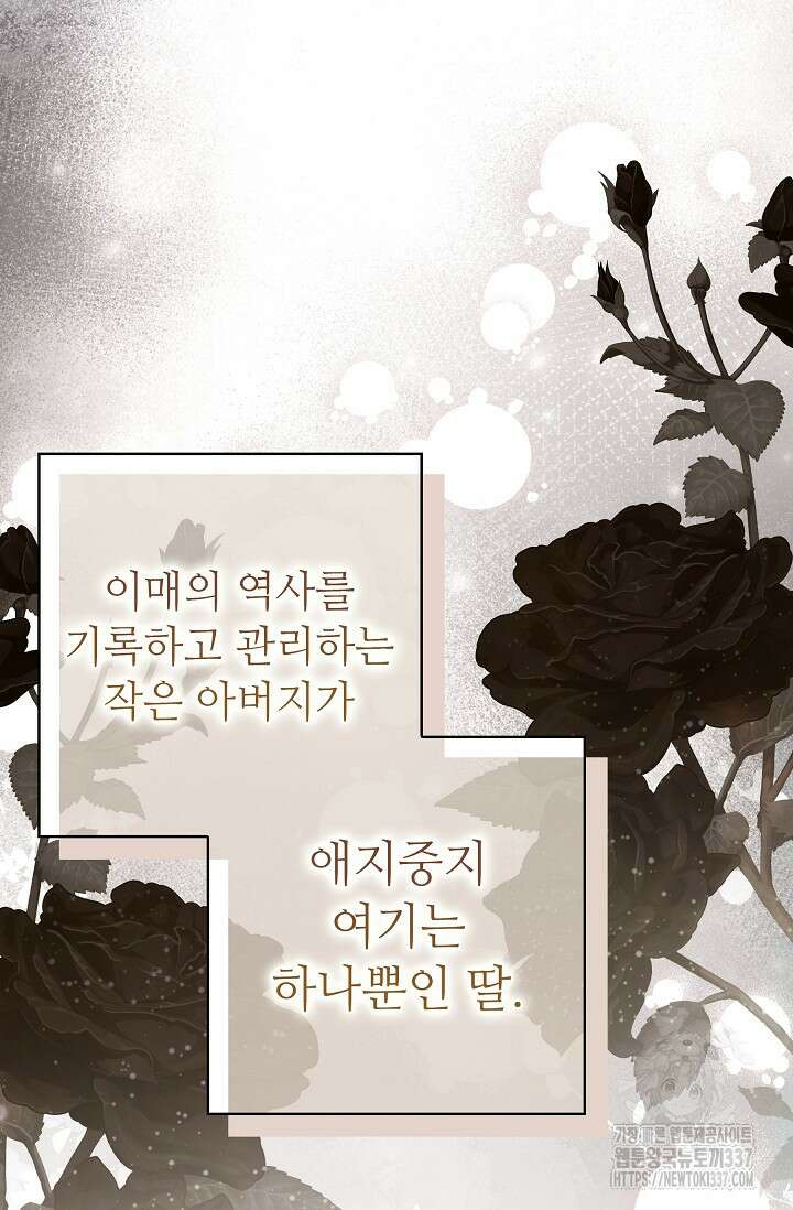 먹이사슬(카카오) 39화 17