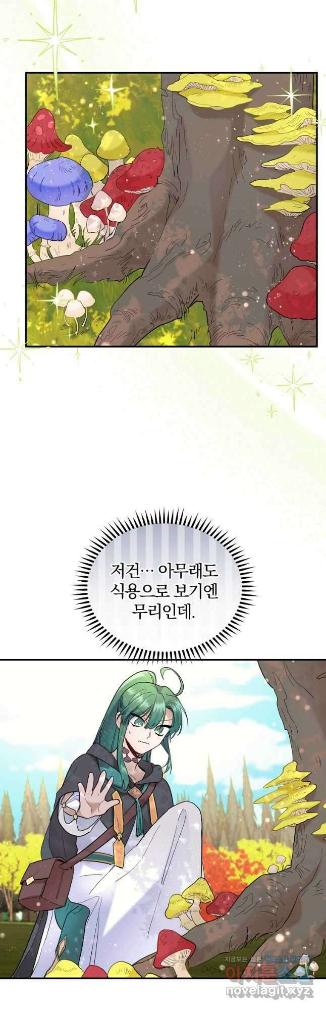요리하는 마법사 49화 3