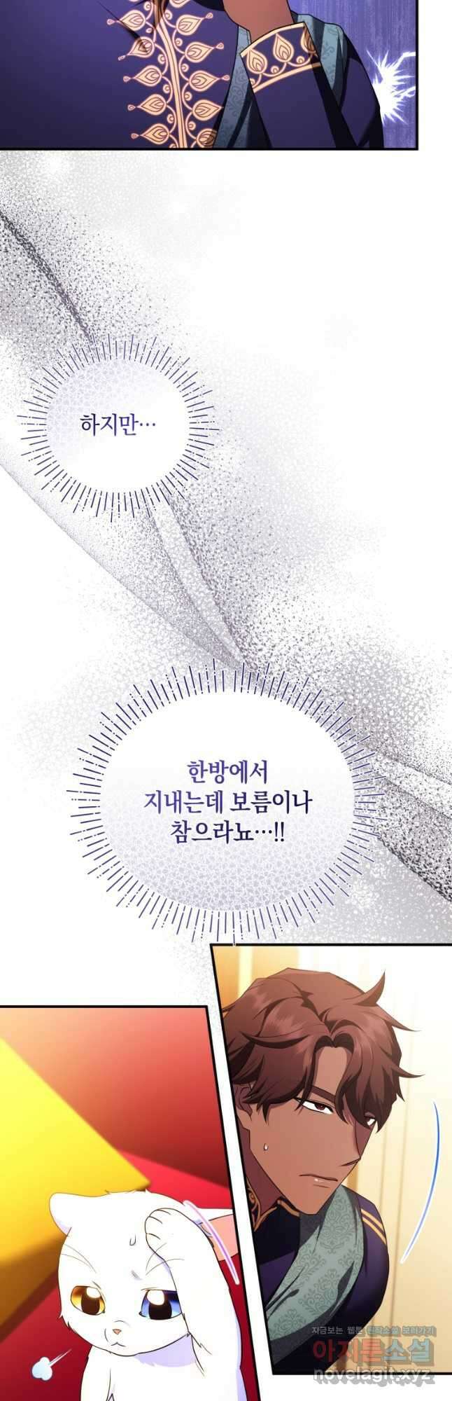 술탄의 귀한 고양이가 되었습니다 55화 2