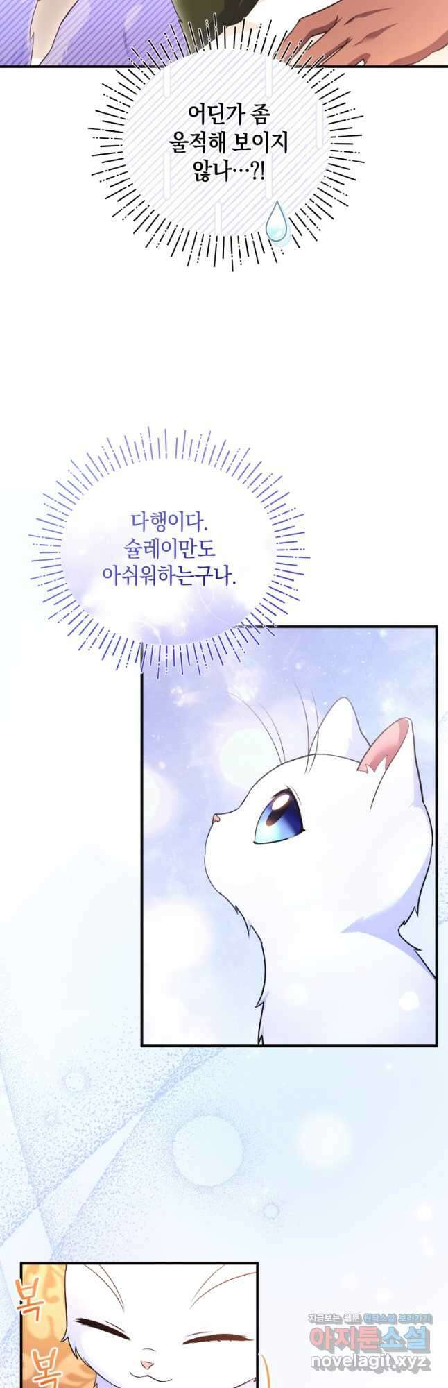 술탄의 귀한 고양이가 되었습니다 55화 6