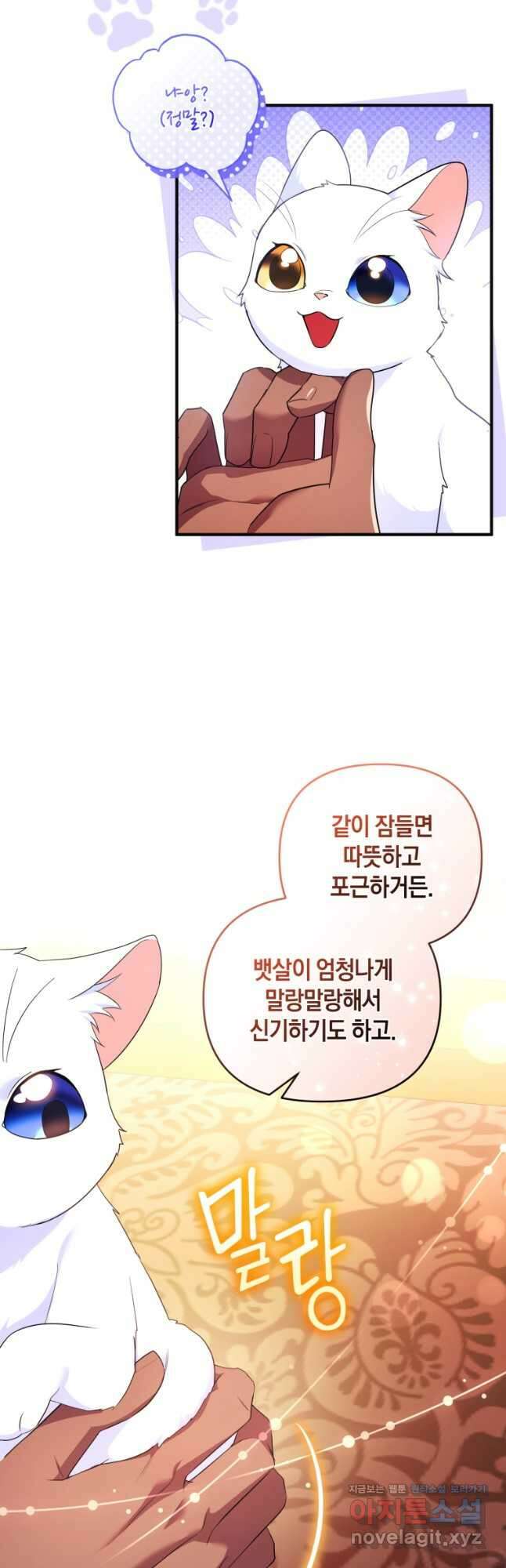 술탄의 귀한 고양이가 되었습니다 55화 7