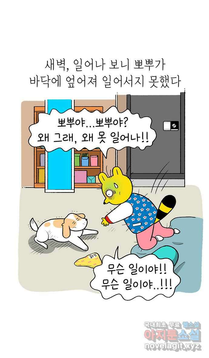 루루라라 우리네 인생 163화 어디로 가야 하죠? 강아지 5