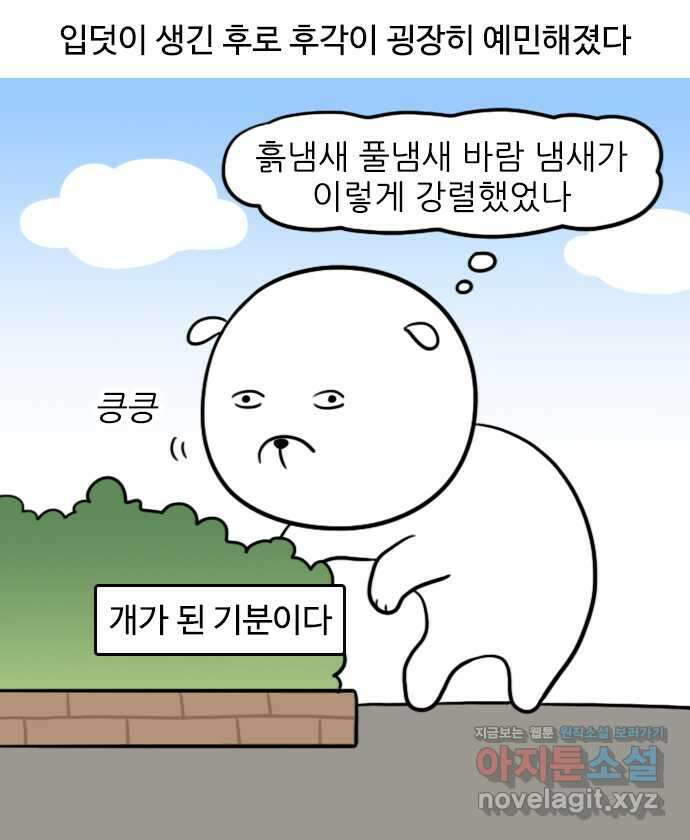 신혼일기 54화 입덧(3) 3