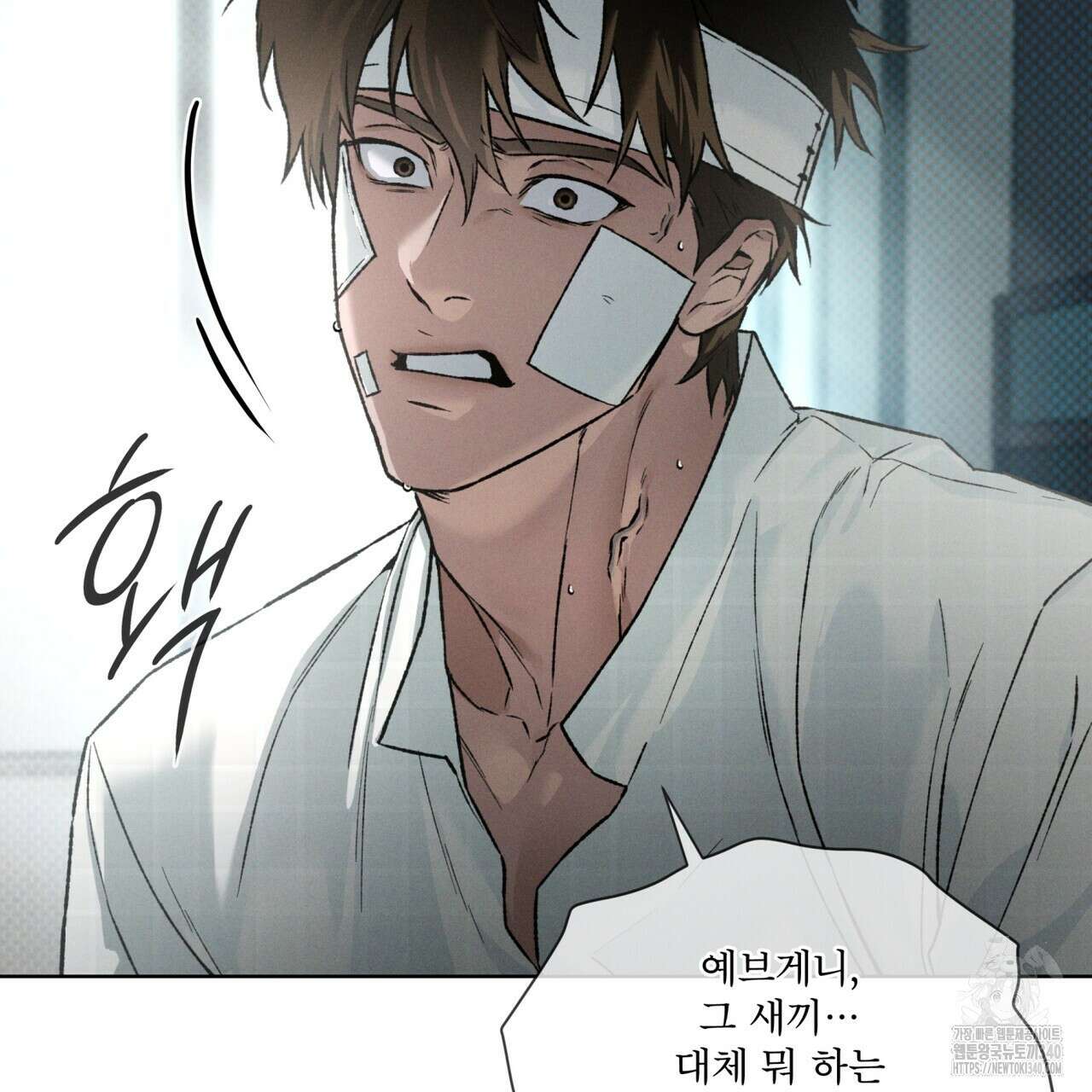 코드네임 아나스타샤 46화 13