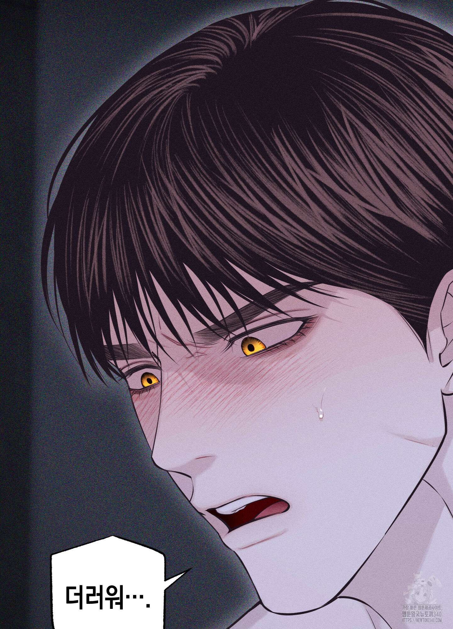 깨진 사랑의 형태 55화 16