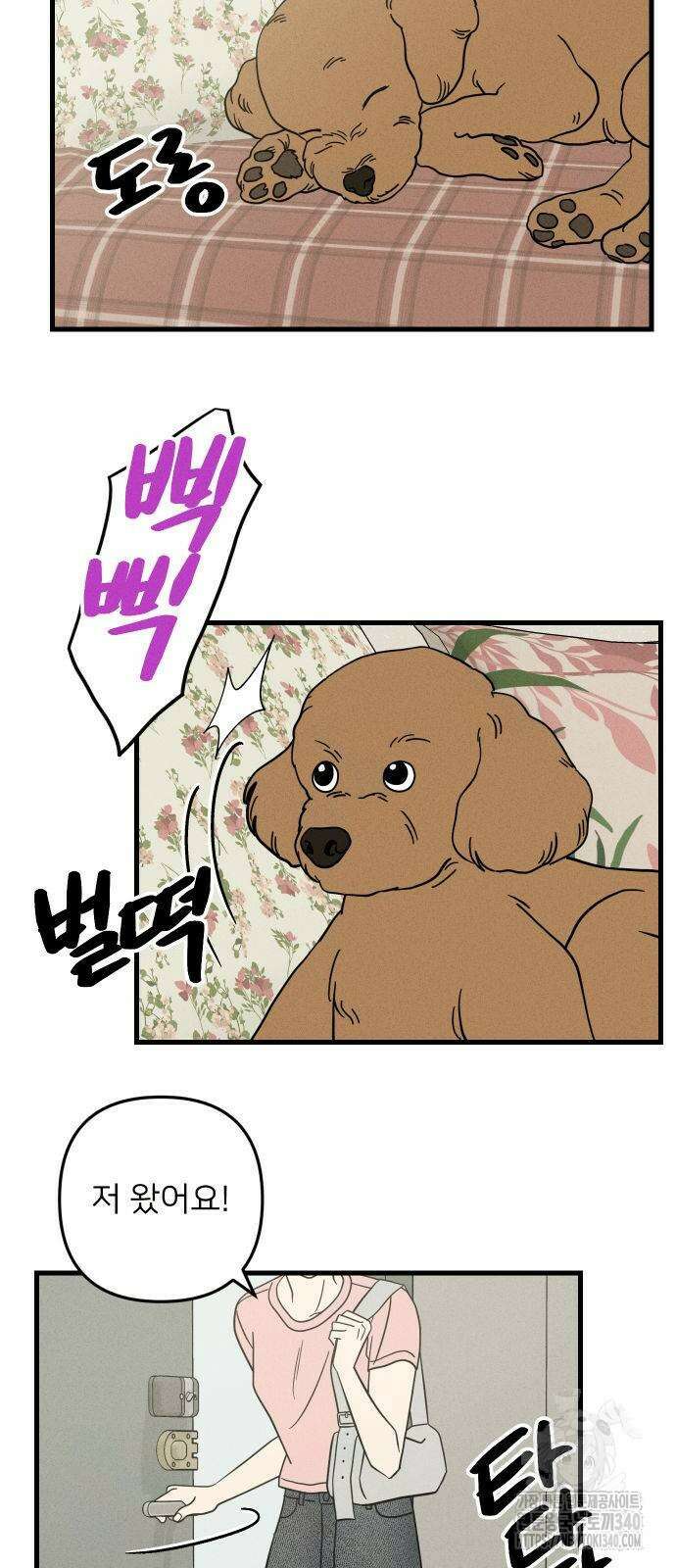 누가 어른 되면 다 된댔어? 11화 2