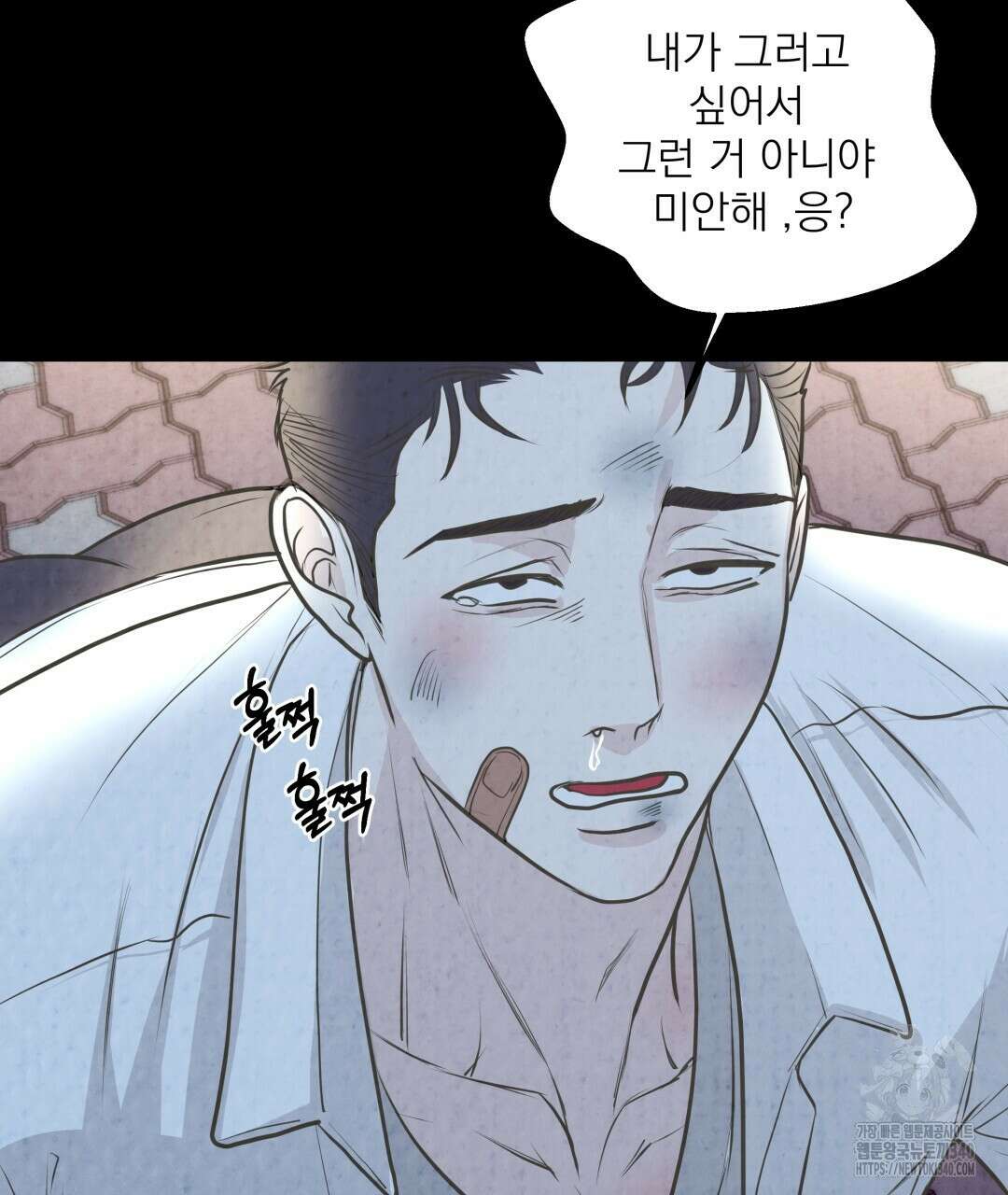 옆집 형 19화 8