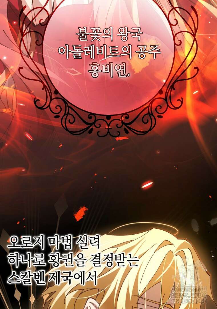 마법학교 앞점멸 천재가 되었다 8화 18