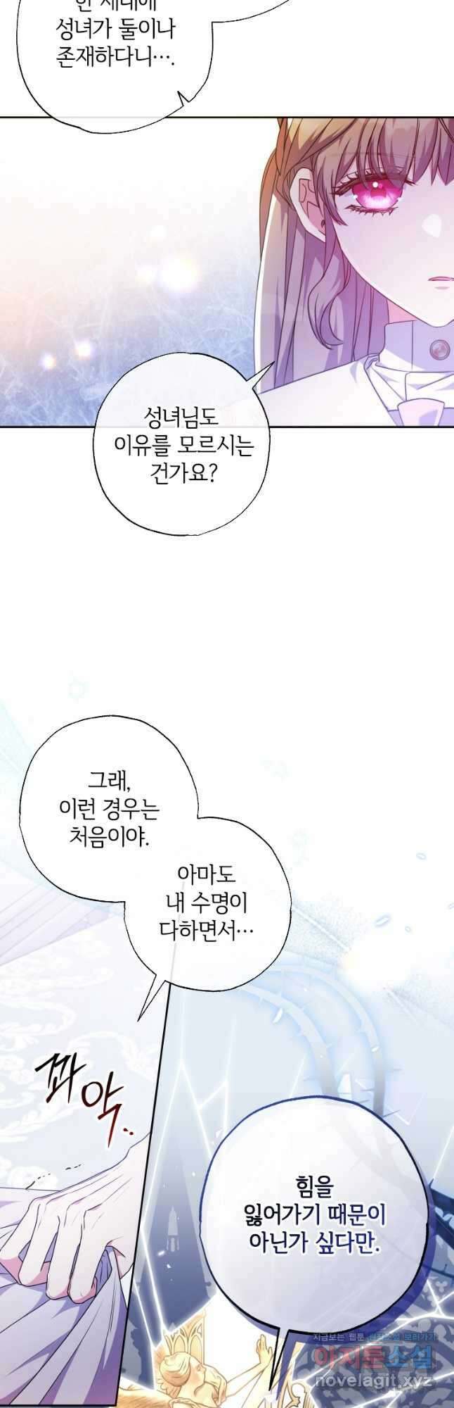 대공가에 입양된 성녀님 43화 6