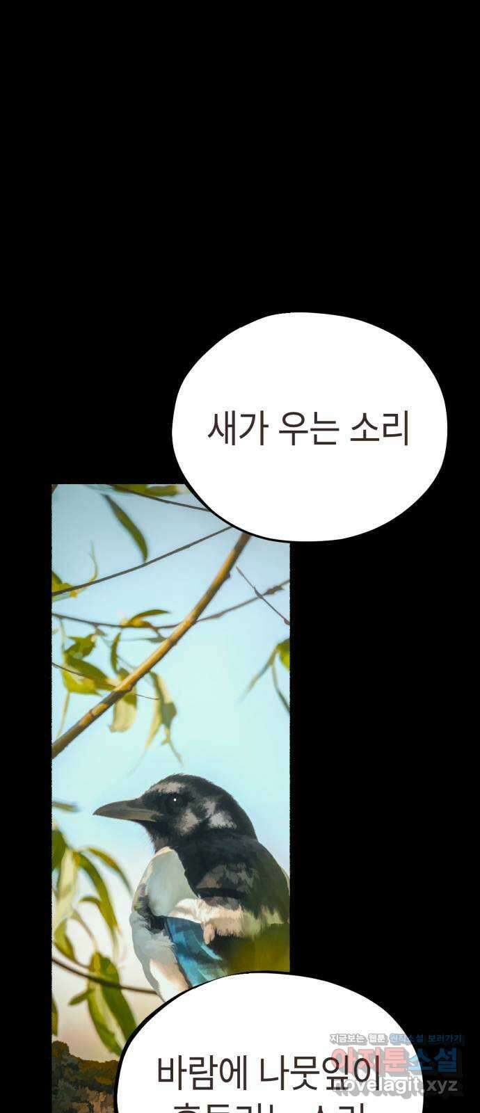 미시령 163화 반구제기-22- 23