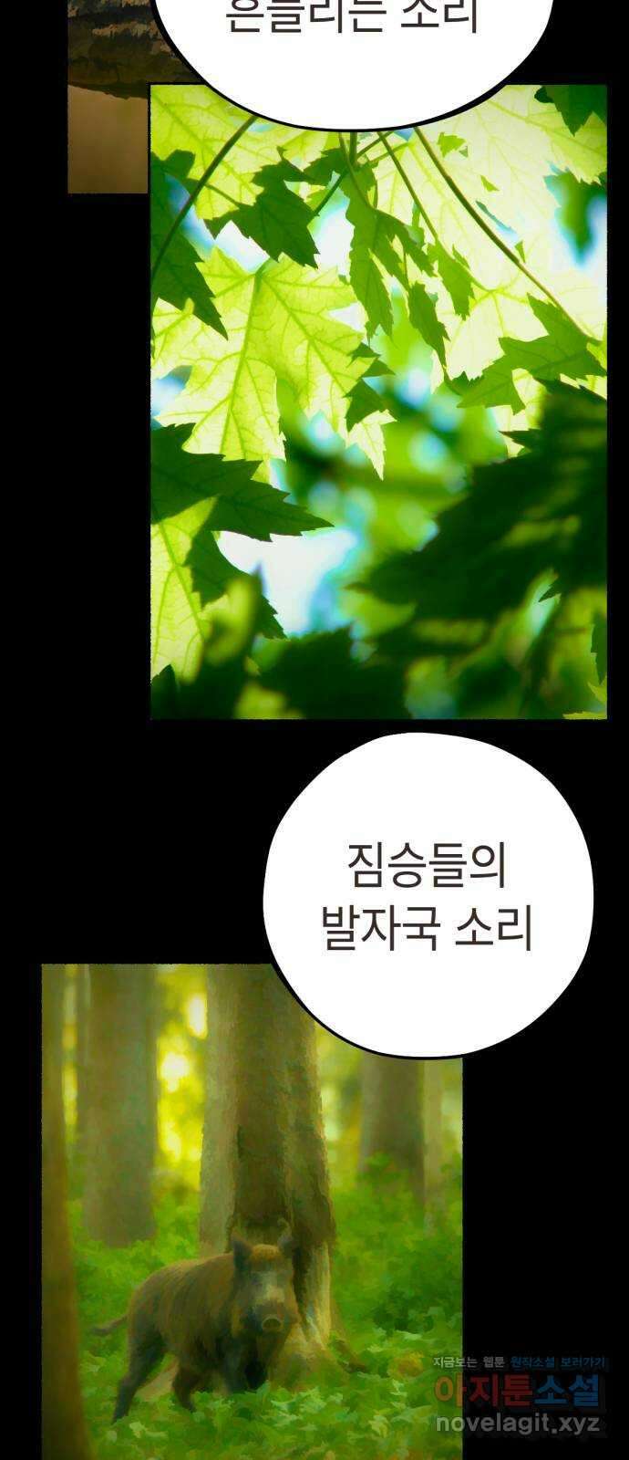 미시령 163화 반구제기-22- 24